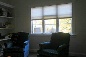 Honeycomb pleated blind