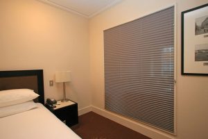 Pleated Blind