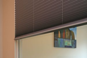 Pleated Blind
