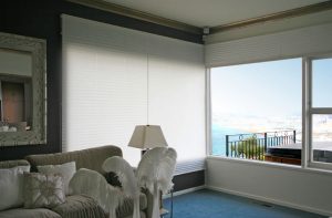 Pleated Blind