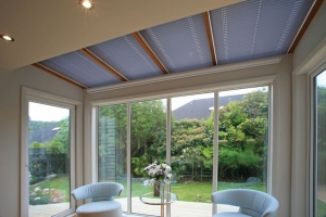 Incline Pleated Blind