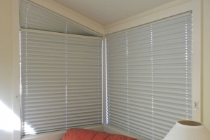 Raked Pleated Blind