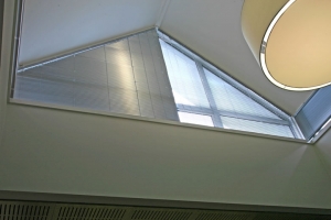 Raked Venetian Blind