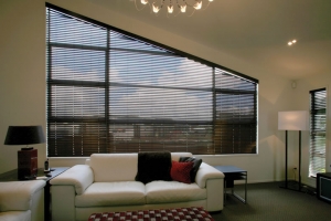 Raked Venetian Blind