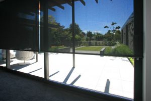 Single Roller Blind