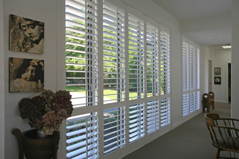 Shutters Cedar