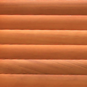 Cedar colour
