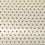 Perforated 25mm Venetian Snow Shadow